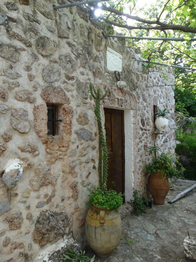 Káto Zákros Nikos House 아파트 외부 사진