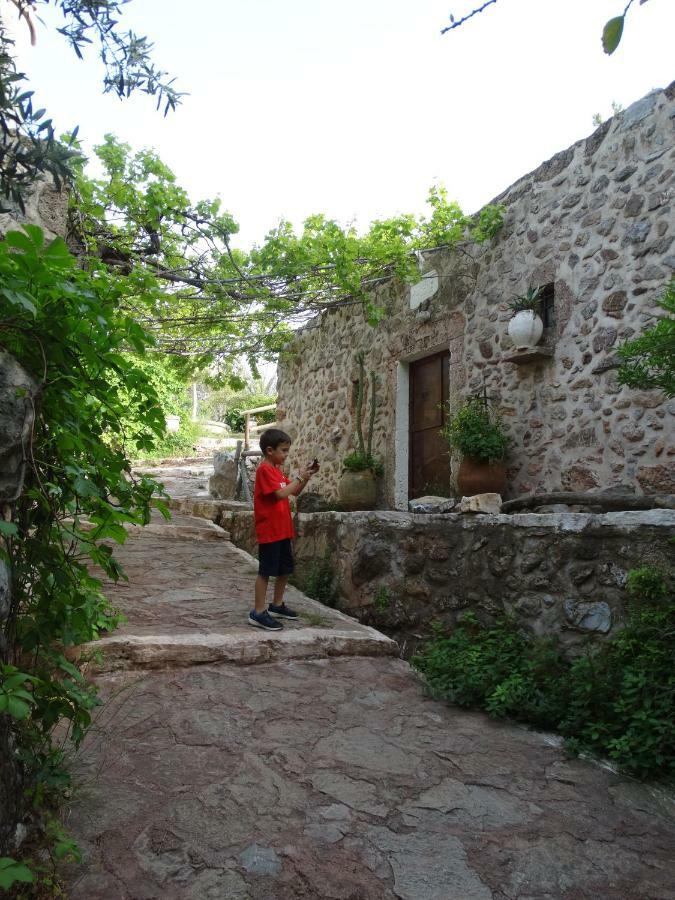 Káto Zákros Nikos House 아파트 외부 사진
